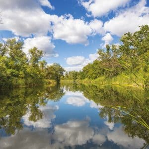 Biesbosch op z'n mooist