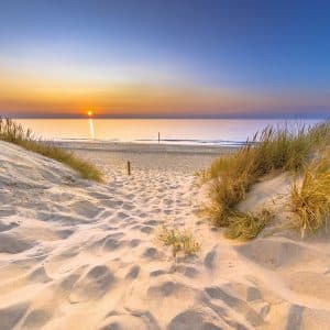 Zeeuwse zomerdag