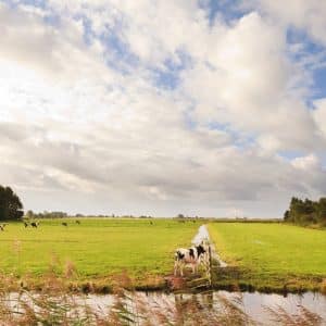 Polders en Plassen
